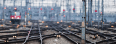 http://www.camera.it/application/xmanager/projects/leg17/attachments/shadow_mostra/img_nuovositos/000/024/025/treno_gif_w234_h90.gif