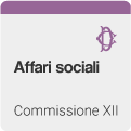 XII Commissione (Affari sociali)