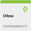 IV Commissione (Difesa)