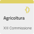 XIII Commissione (Agricoltura)