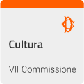 IX Commissione (Trasporti, poste e telecomunicazioni)