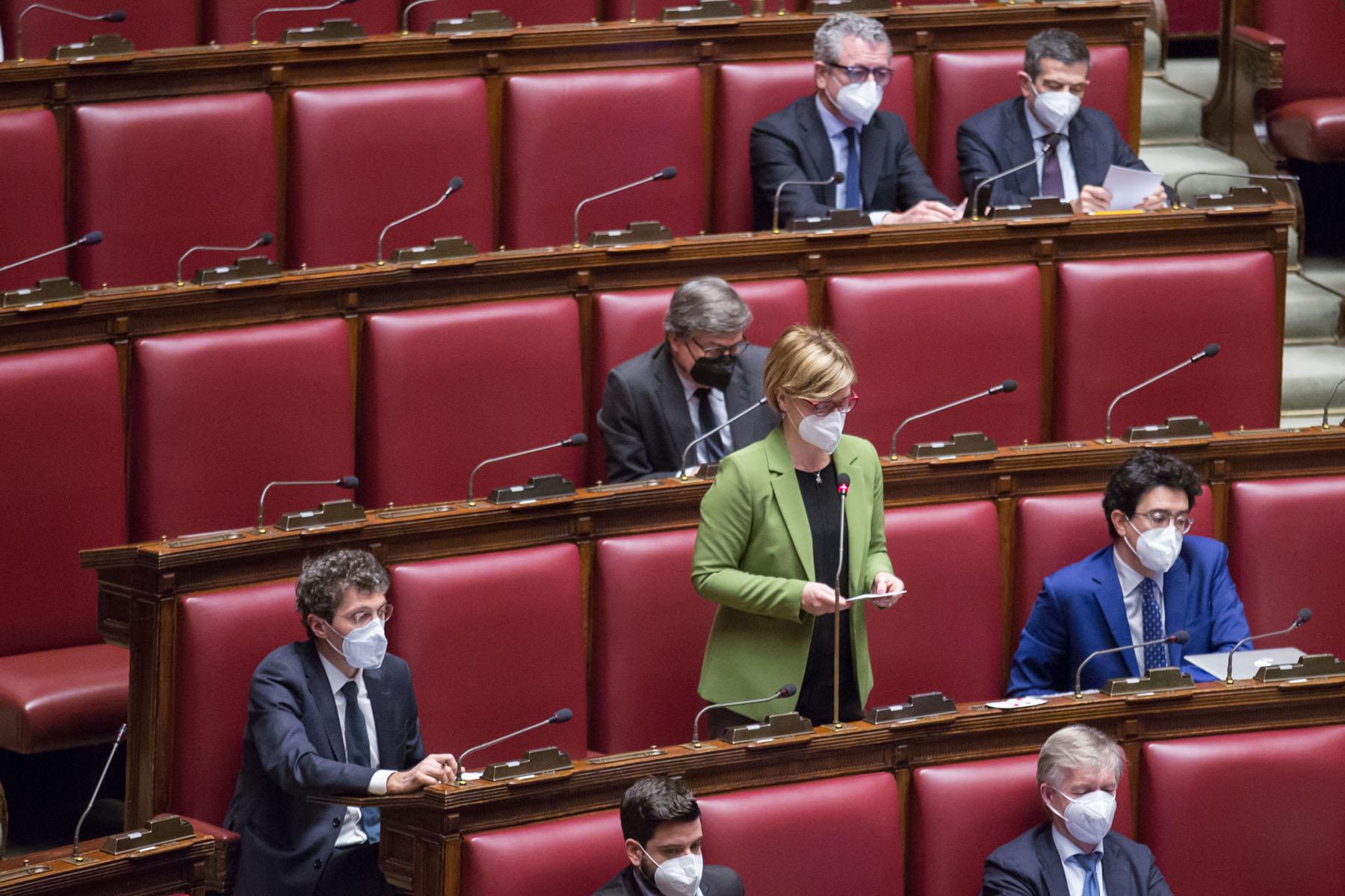 Intervento della deputata Rossella Muroni