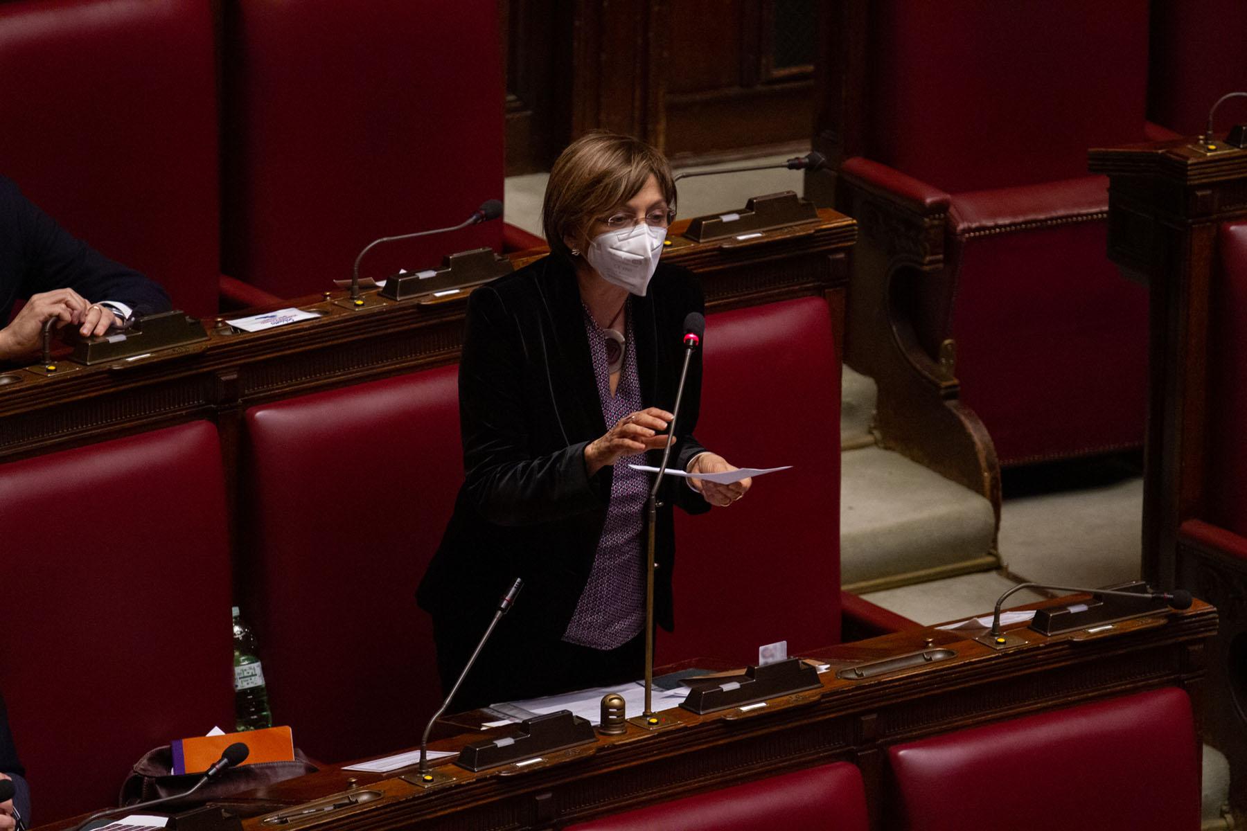 Intervento della deputata Cecilia D'Elia