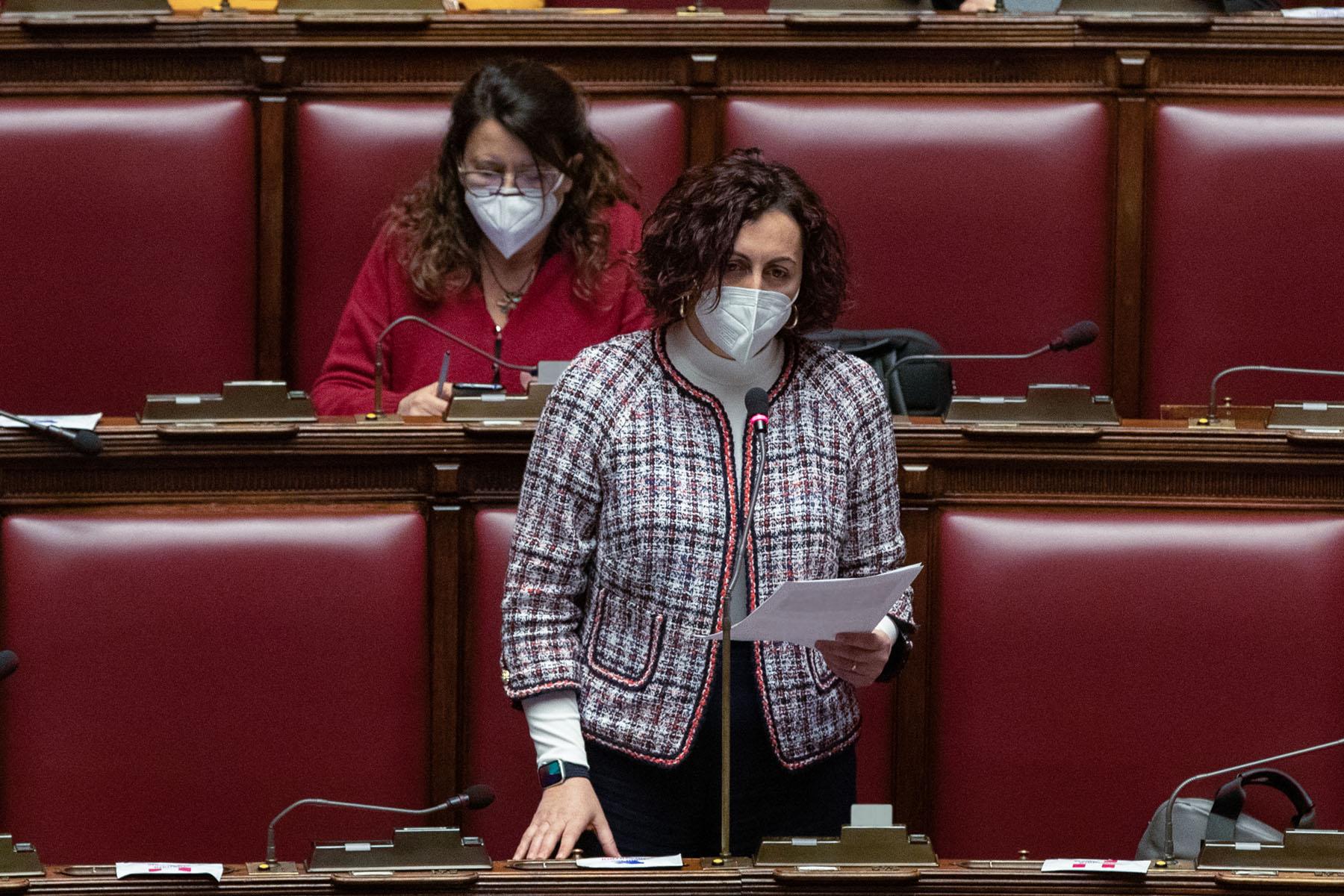 Intervento sulle dichiarazioni di voto della deputata Alessandra Ermellino