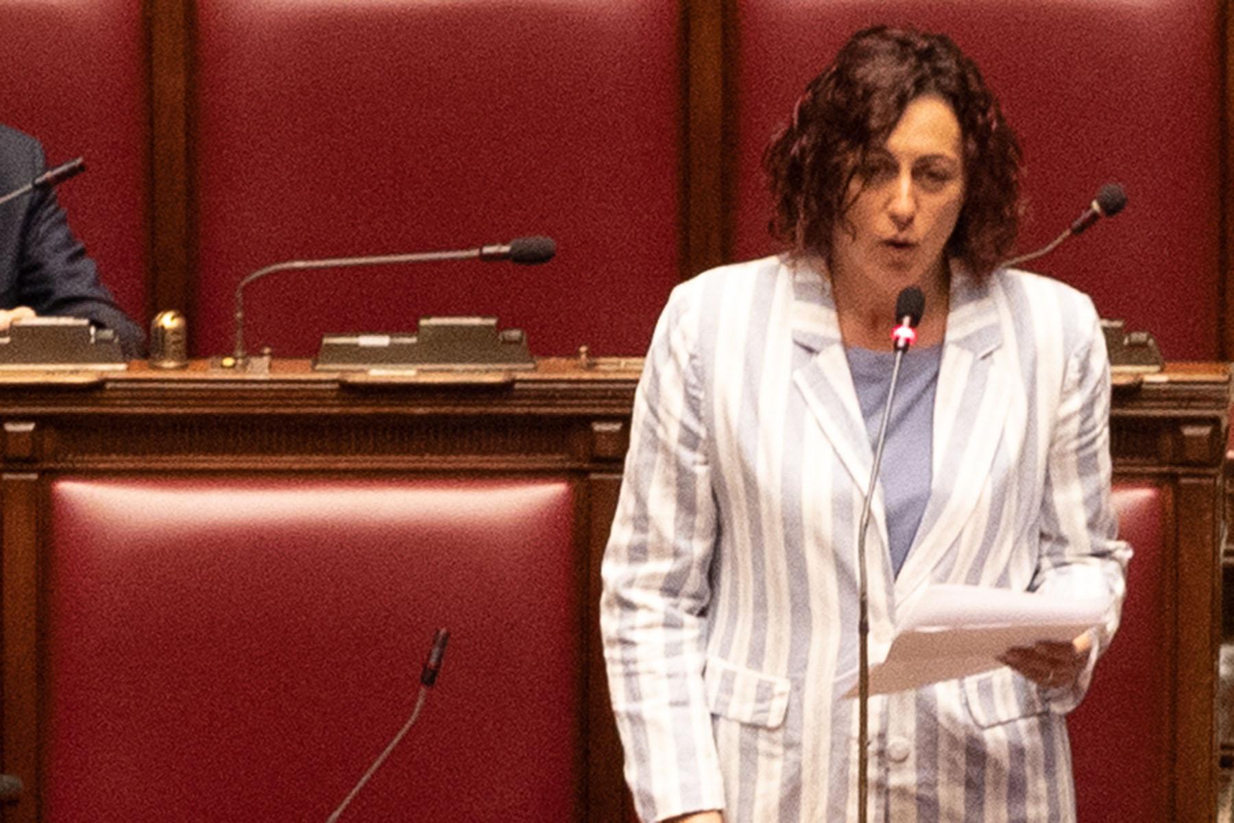 Intervento nelle dichiarazioni di voto del Gruppo Misto-CD della deputata Alessandra Ermellinio