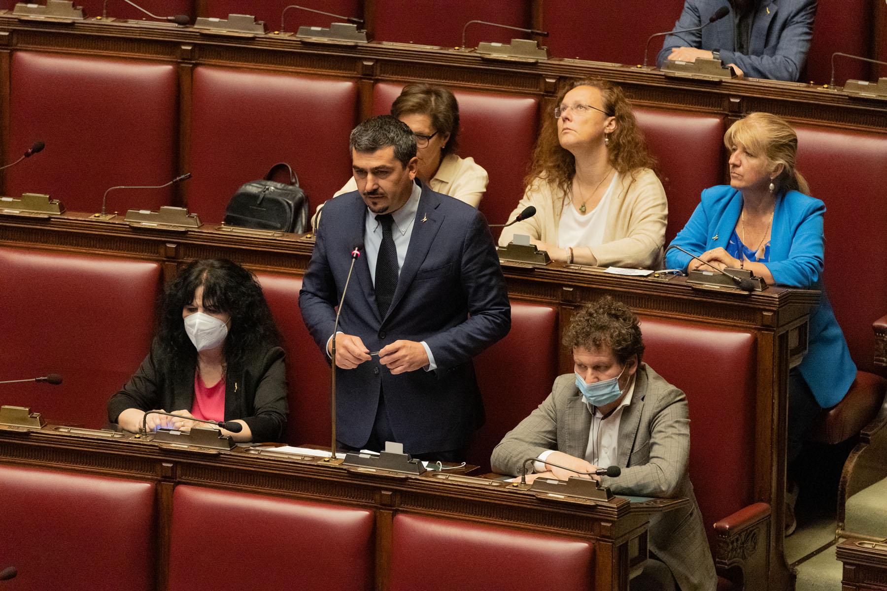 Intervento del deputato Paolo Formentini