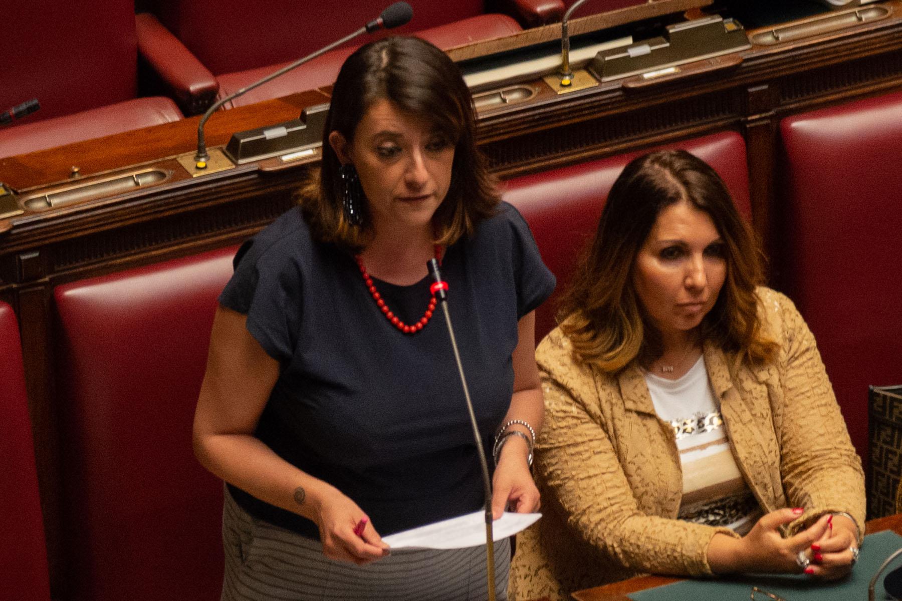 Intervento della deputata Maria Flavia Timbro