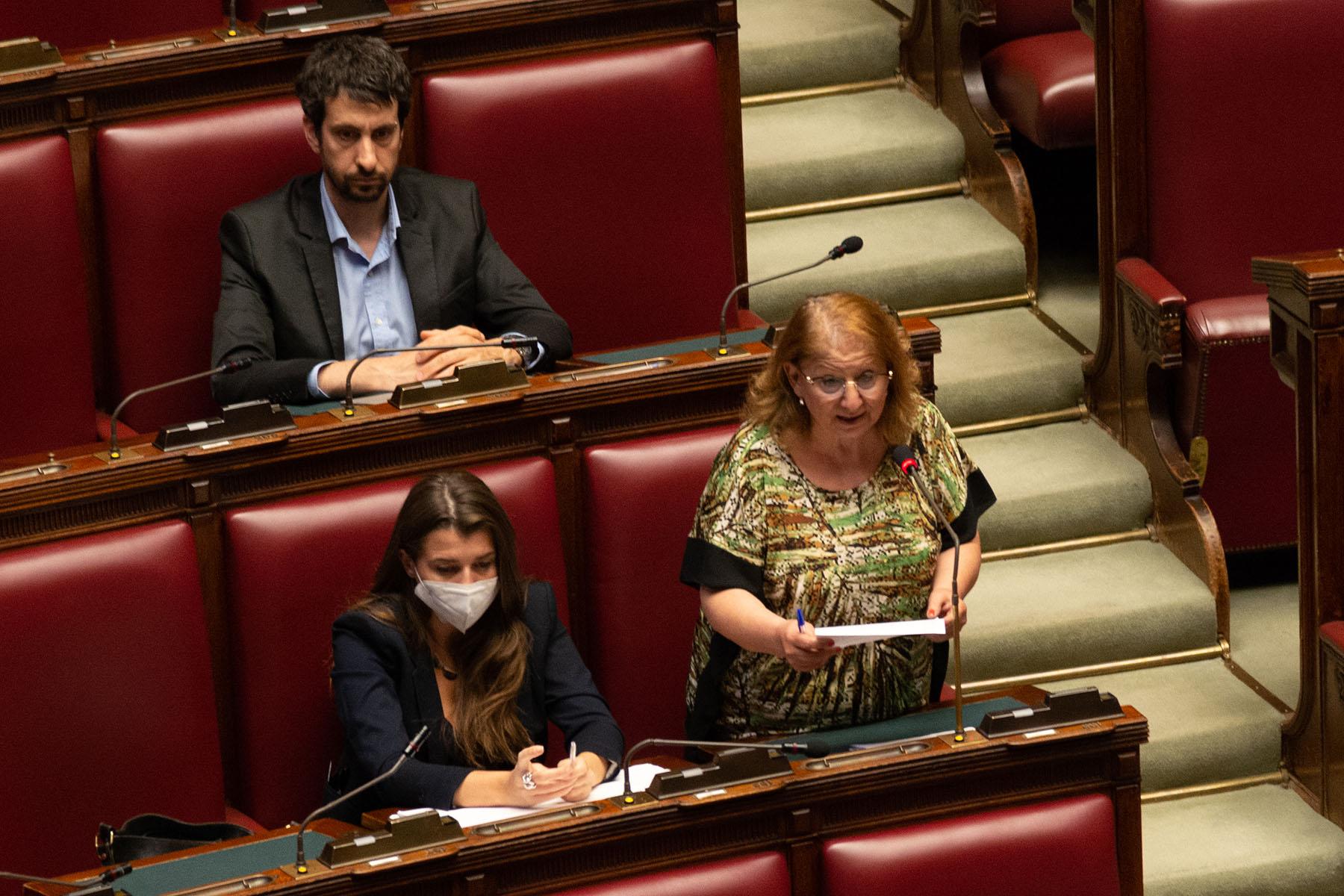 Intervento della deputata Virginia Villani