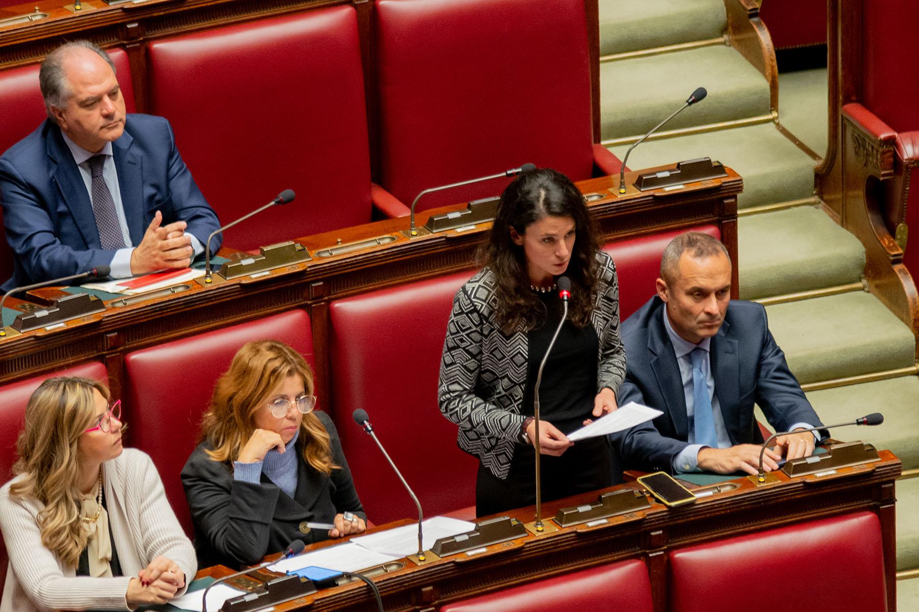 Intervento della deputata Giulia Pastorella