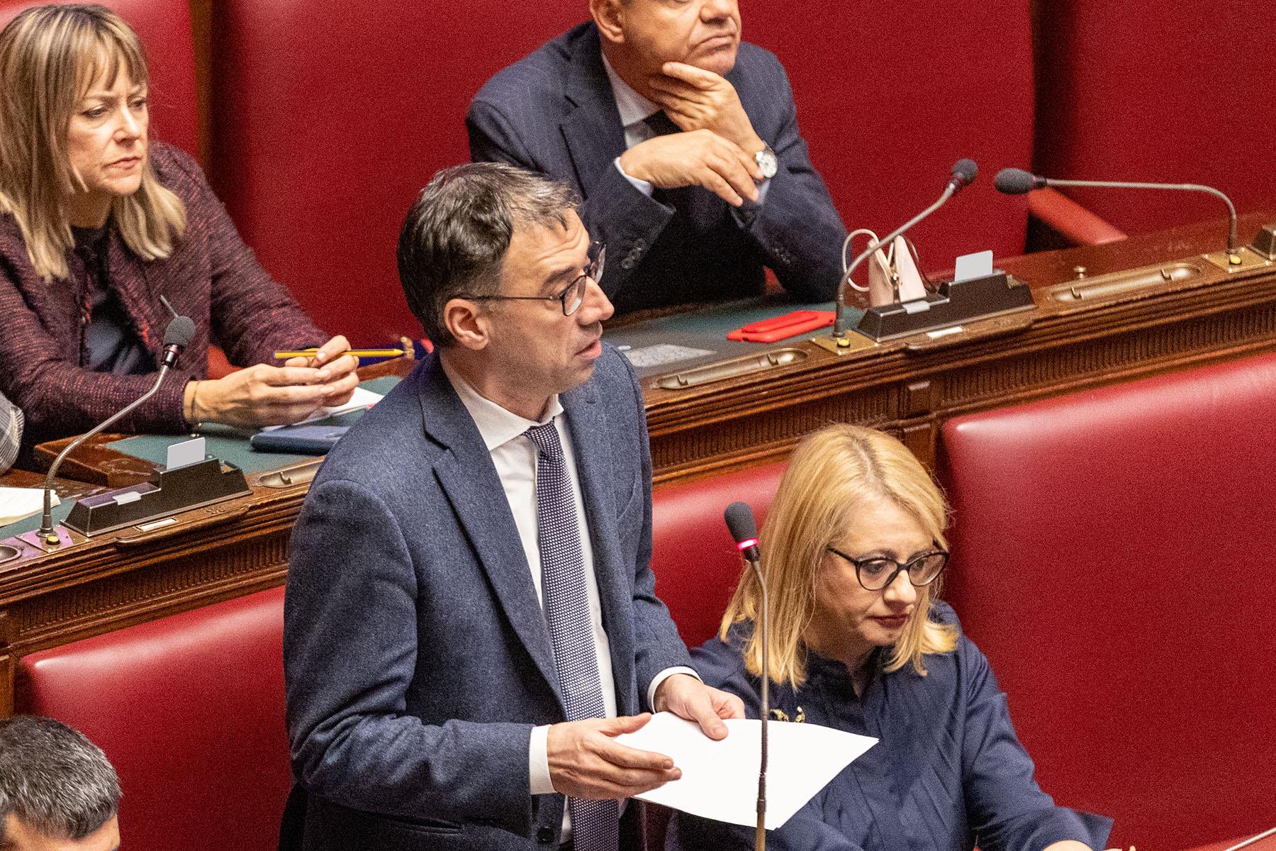 Intervento del deputato Vinicio Giuseppe Guido Peluffo