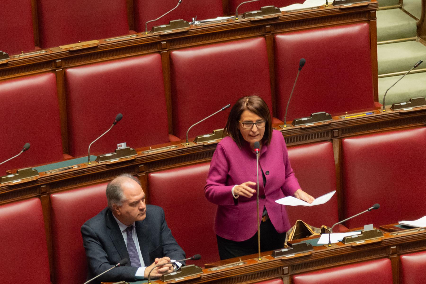 Intervento della deputata Daniela Ruffino