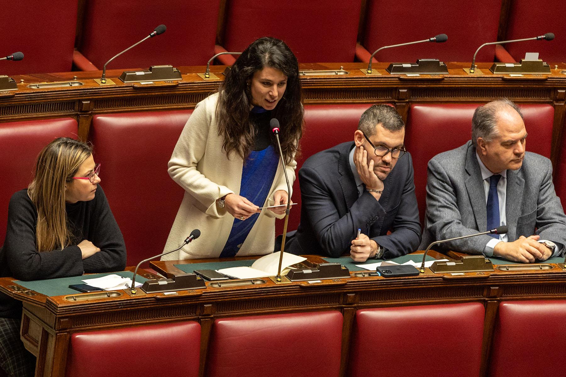 Intervento della deputata Giulia Pastorella