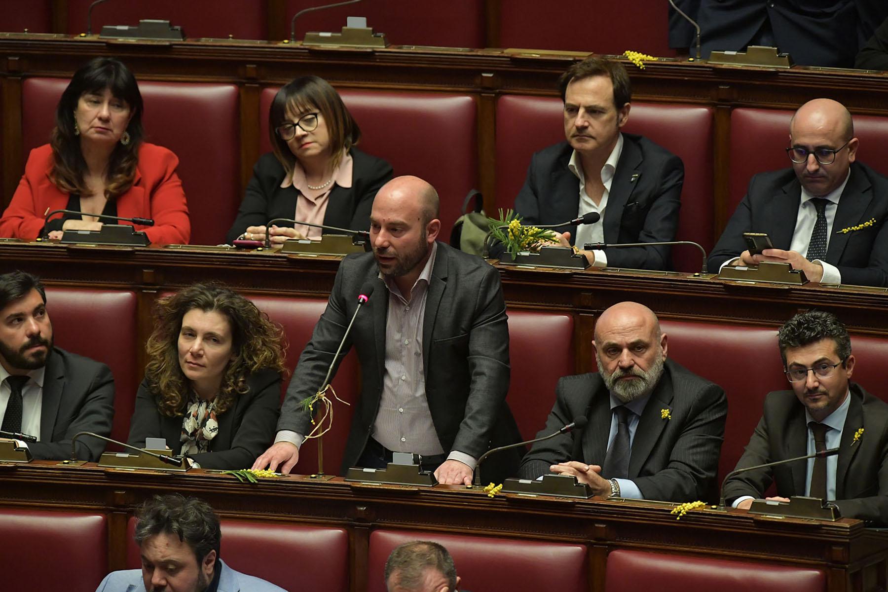 Le mimose sui banchi dell'Aula di Montecitorio - Intervento del deputato Antonio Caso al question time dell'8 marzo 2023