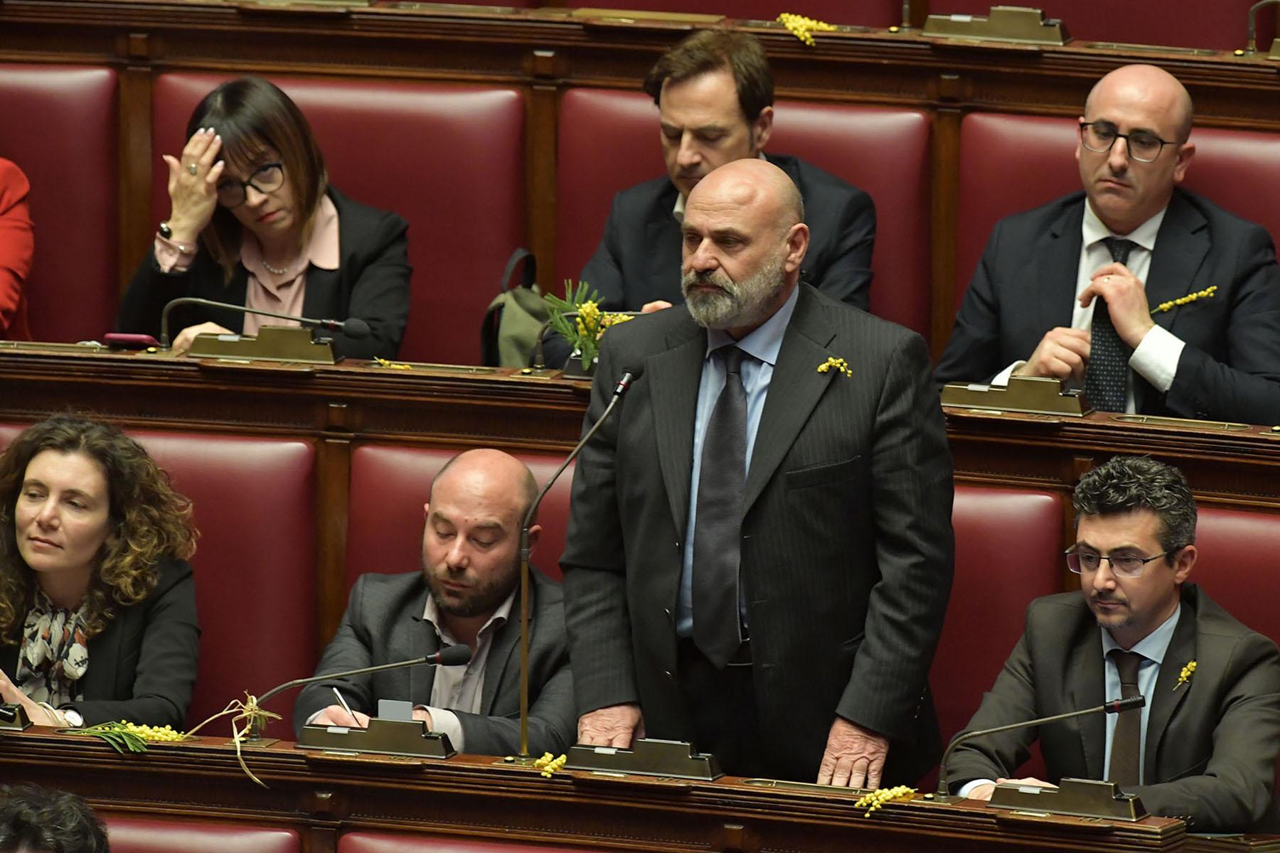 Le mimose sui banchi dell'Aula di Montecitorio - Intervento del deputato Gaetano Amato al question time dell'8 marzo 2023