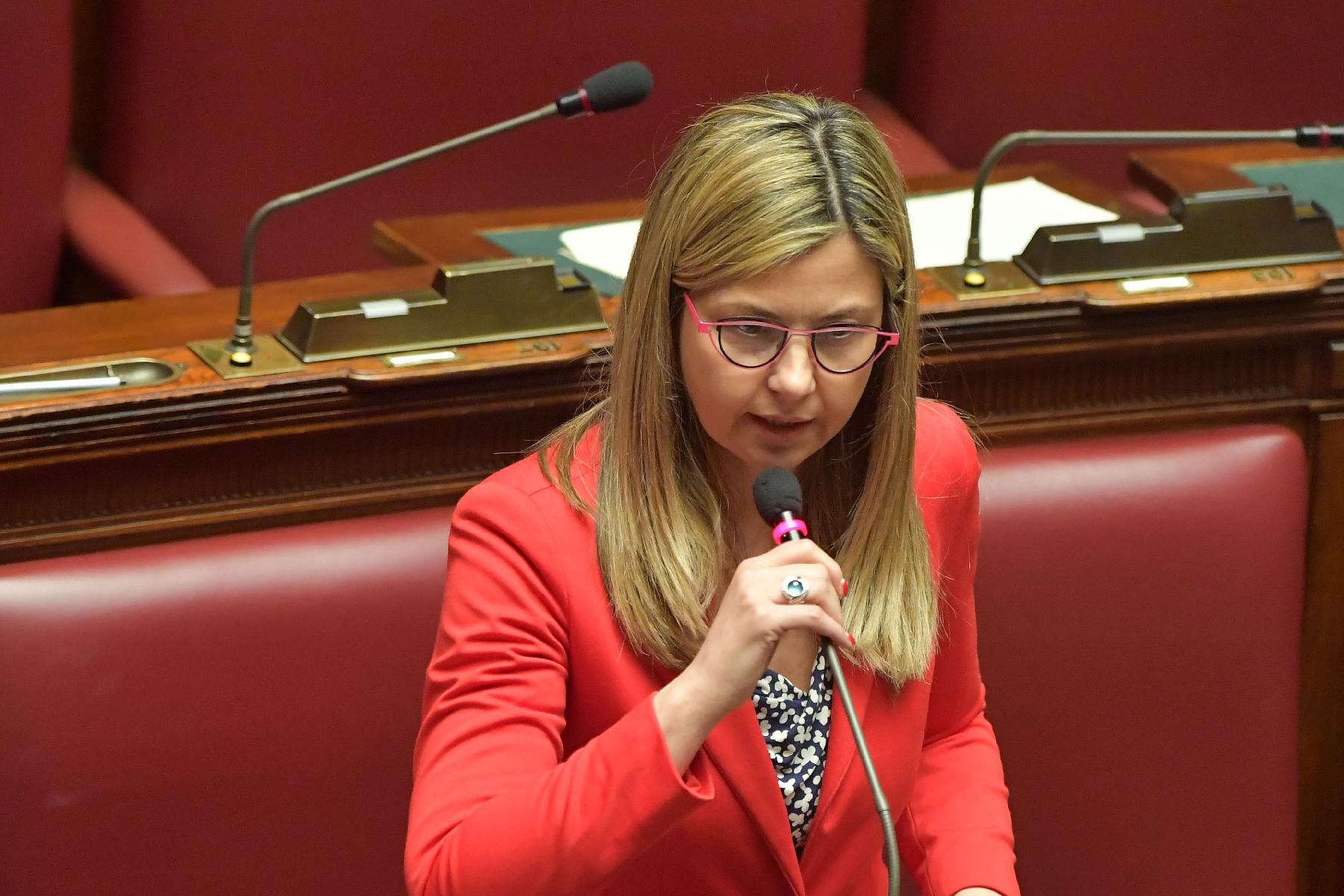 Intervento della deputata Maria Chiara Gadda