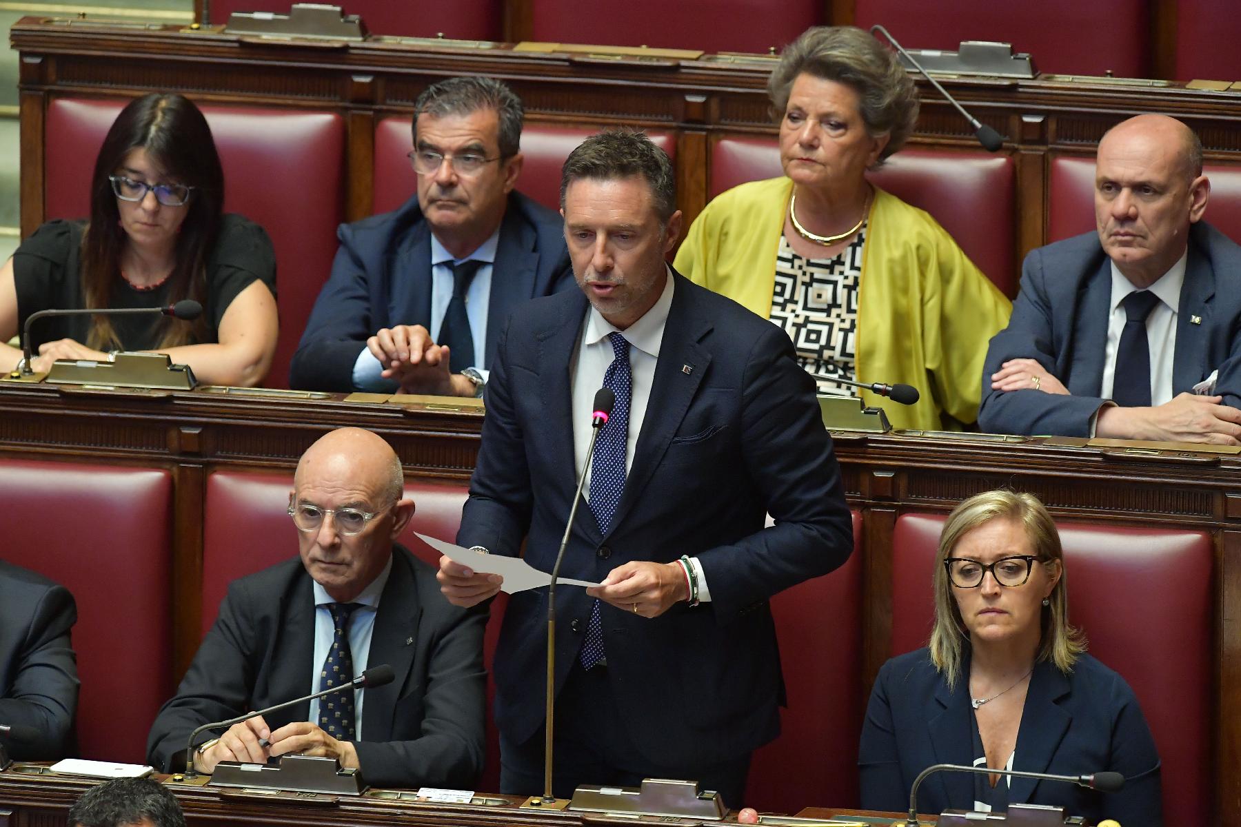 Intervento del deputato Fabrizio Rossi