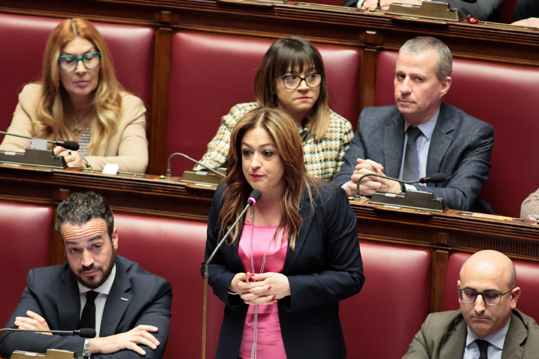 Intervento della deputata Daniela Torto